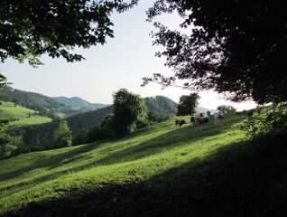 Kulturlandschaftsweg bei Tradigist
