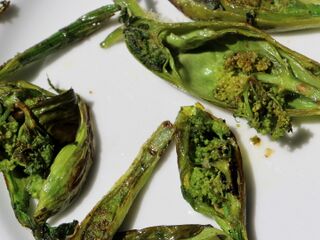 Bärenklauspitzen gebraten - eine Wildkräuter-Delikatesse