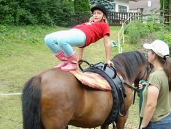 KS Brücke auf Pferd