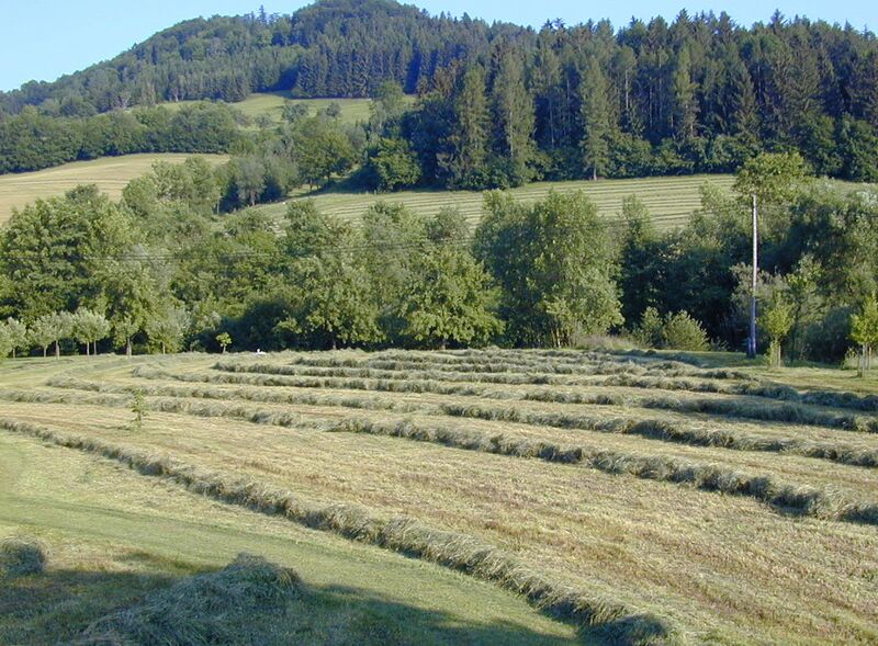 Datei:Heuschwaden Fam König.jpg