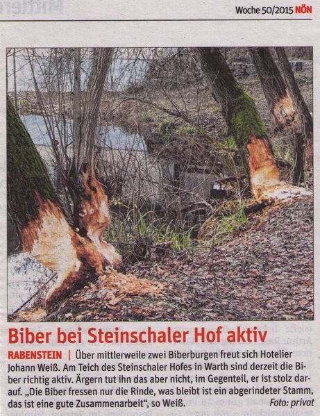 Datei:NÖN Steinschalerhof Biber2015.jpg