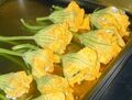 Gefüllte Zucchiniblüten