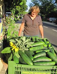 Frieda mit einer Gurken-Ernte