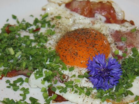 Frühstücksei mit gebratenem Speck