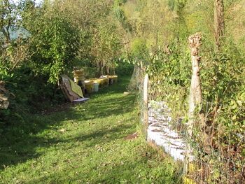 "Dirndlgasse" im Produktionsgarten