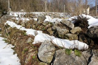 Kräuterdamm - Winterende