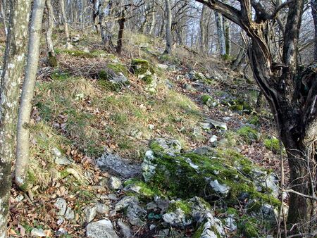 Steig zur Karlswarte von der Eben