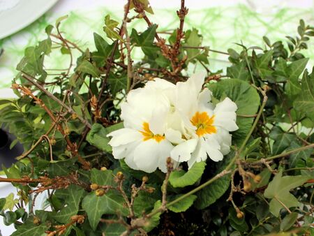 Frühjahrsgesteck selbst gemacht