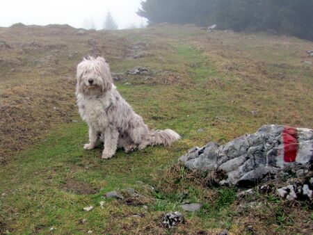 Paula auuf der Eisenstein-Weide