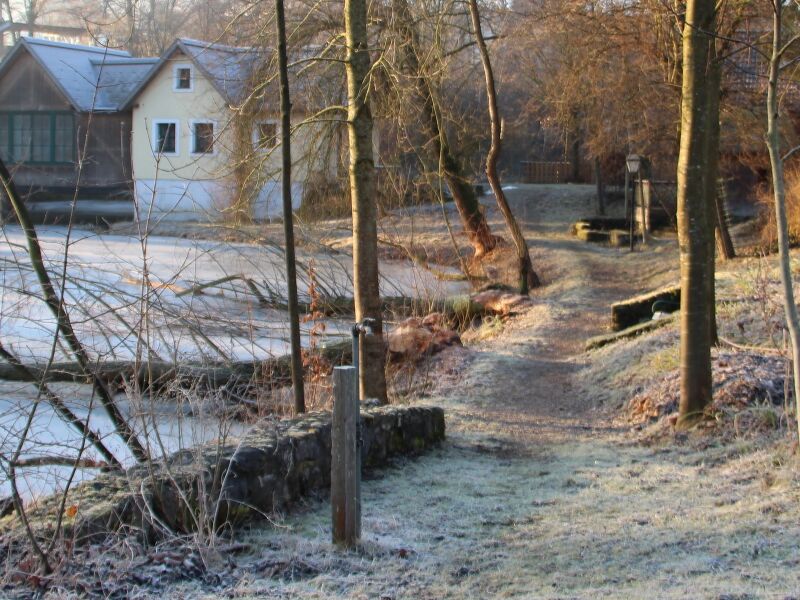 Datei:SG ST Biber bereinigter Teichweg.JPG