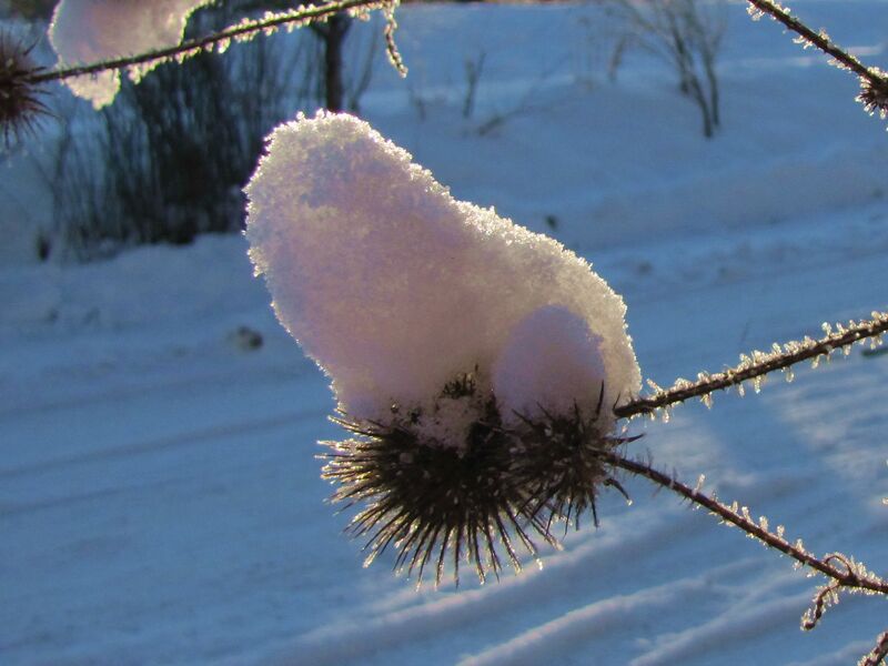 Datei:SG Winter Schnee0.jpg