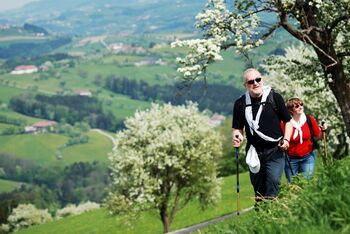 Walken unter Birnenblüten