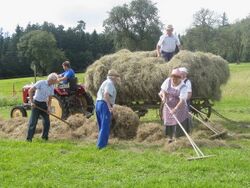 Heufest - Heuernte wie früher