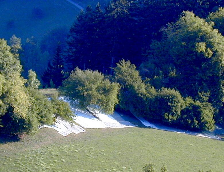 Datei:Dirndlernte Gaisbühel Tücher.jpg