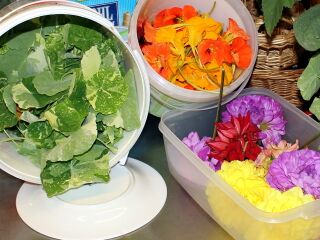 Kräuter und Blüten für Küche