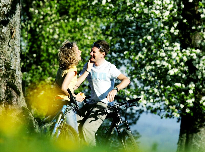 Datei:Päarchen Birnblüte WF.jpg