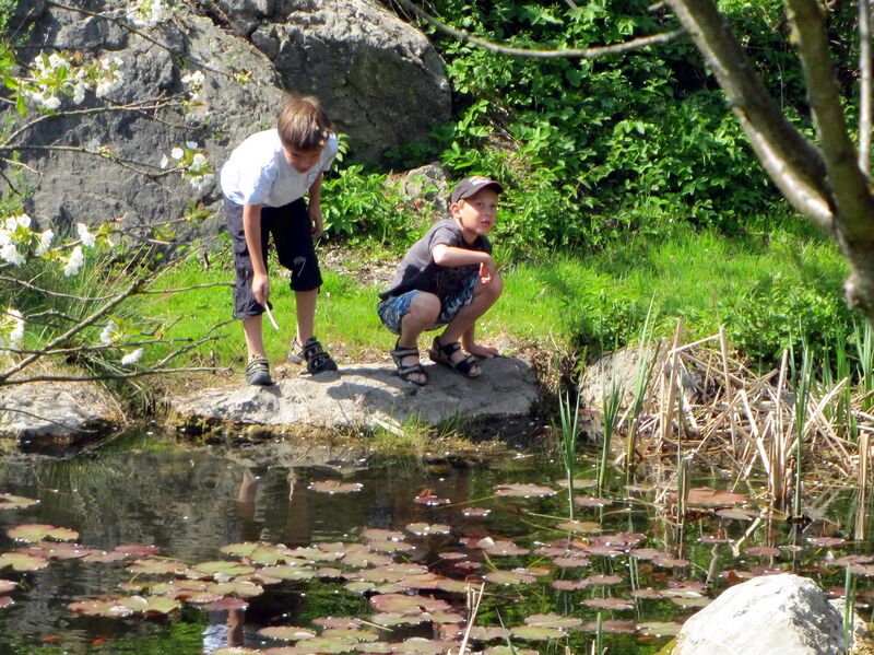 Datei:SG Biotop Südg Kinder.jpg