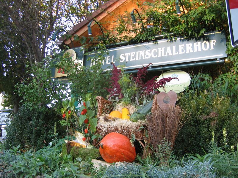 Datei:Dekoration Steinschalerhof-Schild.jpg