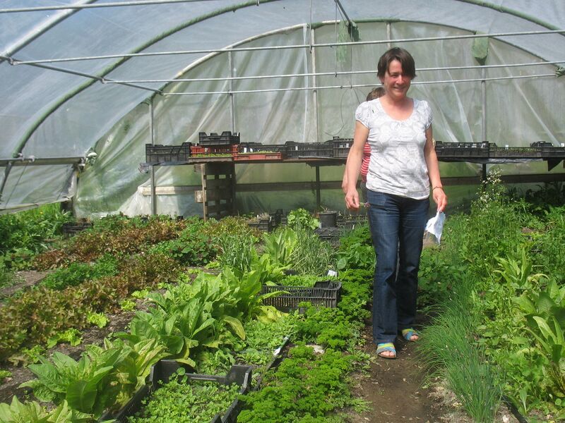 Datei:SG-Lisa Folien-Tunnel.jpg