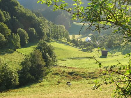 Hochtal bei Loicher Aufstieg