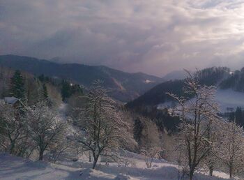 Winteridylle - Blick Taschlgraben 2012