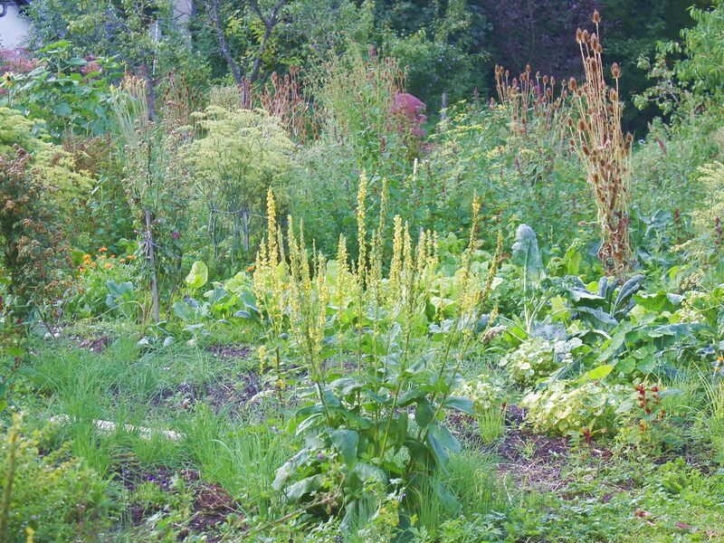 Datei:SG Naturgarten Vielfalt.jpg