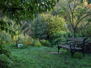 Morgenstimmung in den Steinschaler Gärten