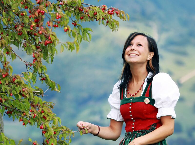 Datei:Dirndlstaude Dirndlprinzessin.jpg