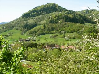 Blick vom Haus Königswiese auf Fronberg