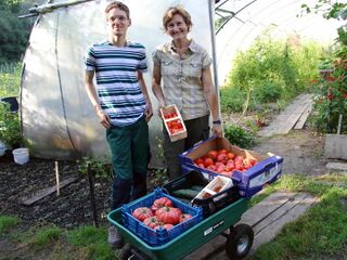 Stolz auf Paradeiserernte