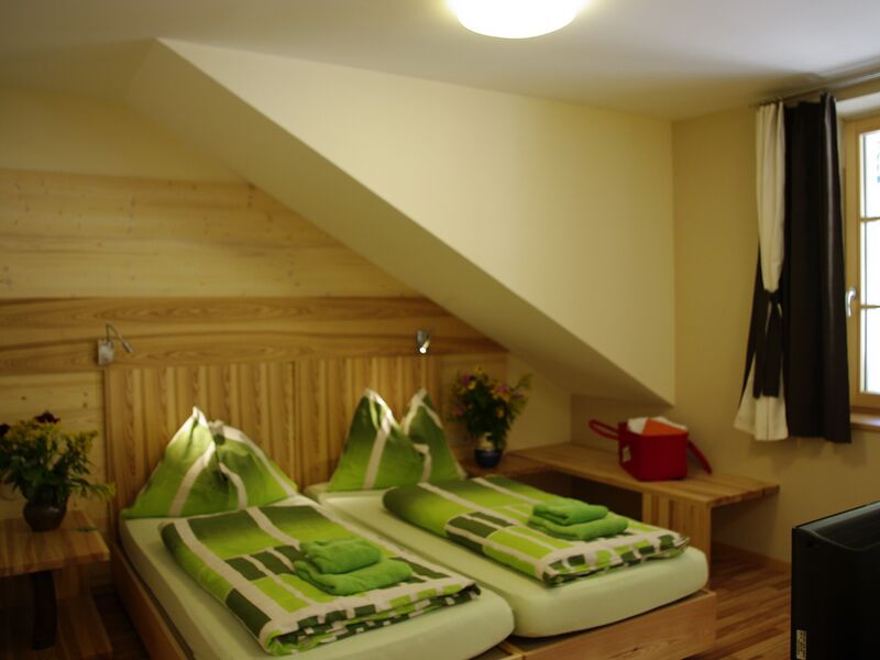 Datei:Esche 2119 (2).jpg