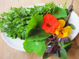 Frühstückskräuter von JW