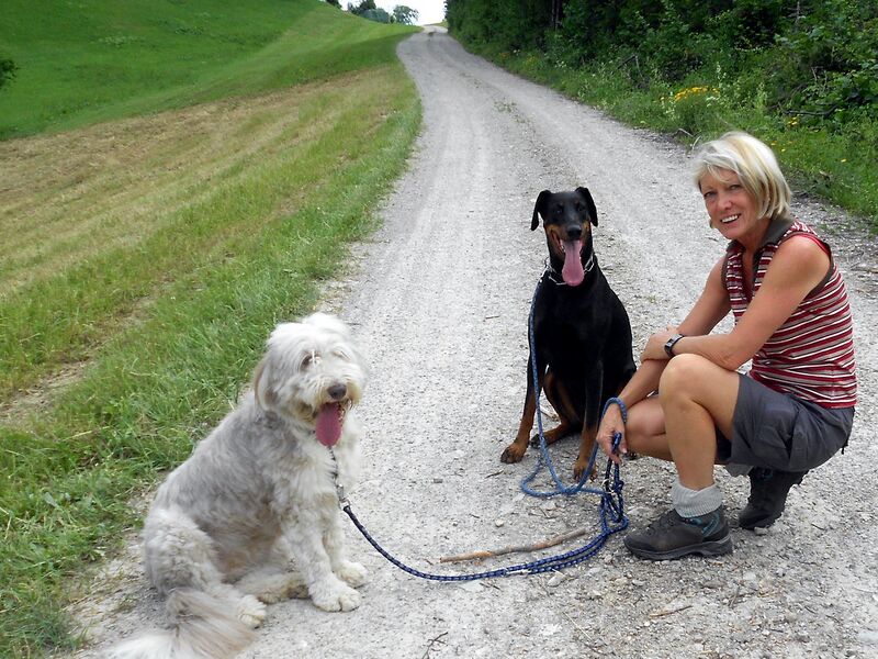 Datei:Ebenweg Hunde Paula MHL.jpg