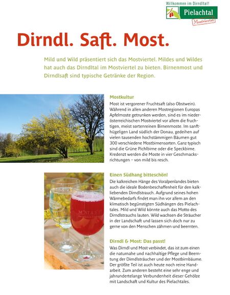 Schild: Dirndlsaft - der Link zum Most