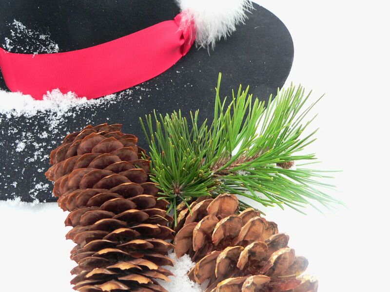 Datei:Weihnachten beim Mostbaron.jpg