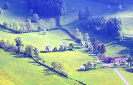 Blick auf Unterholz - Tradigist
