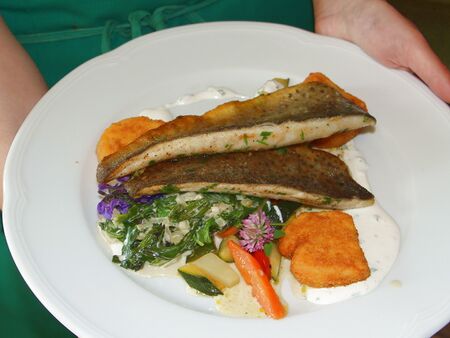 Bio-Fisch mit Wildspinat