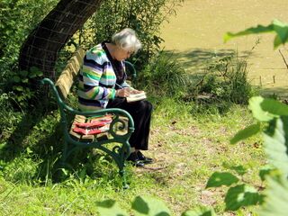 malen am idyllischen Steinschaler Teich