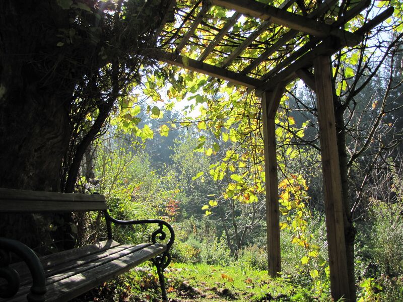 Datei:SH Südgartenlaube.jpg