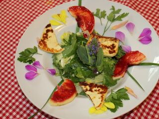 Wildkräuter mit Grillkäse