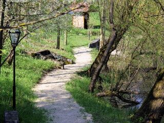 Teichweg im Steinschaler Wassergarten
