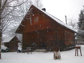Teichhaus mit Hund - Silvester
