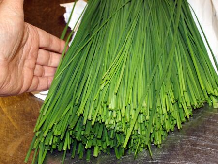 im Schnittlauchparadies