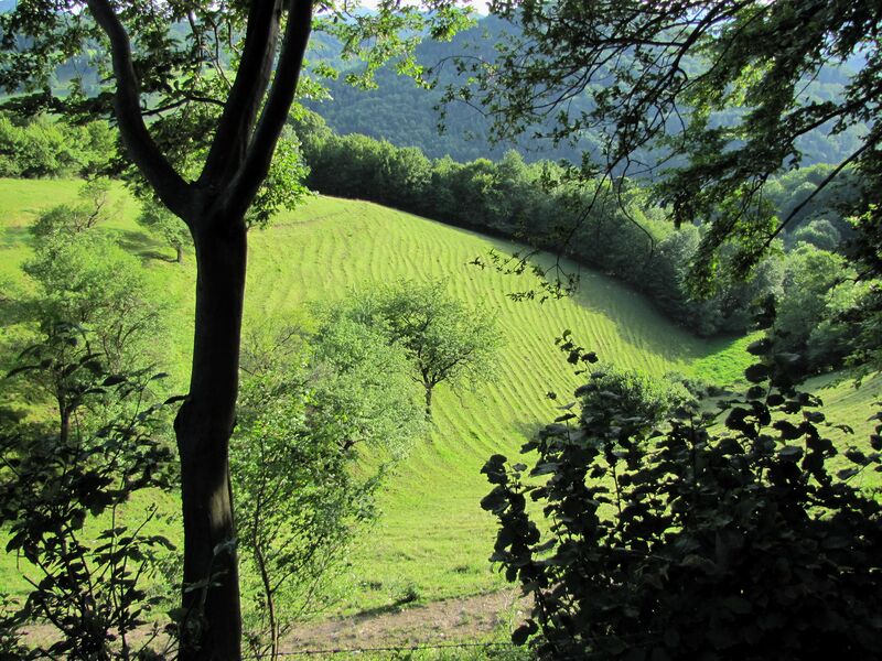 Datei:Viehsteige Durchblick1.jpg