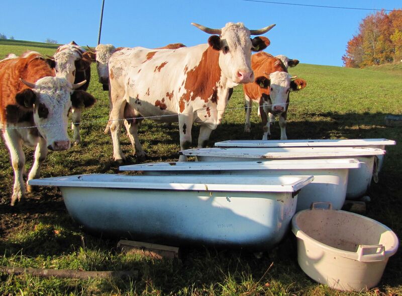 Datei:KL 4 Badewannen.jpg