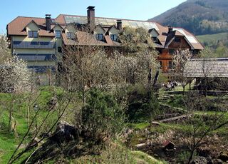 Speckbirnbaum von anderer Biotopseite