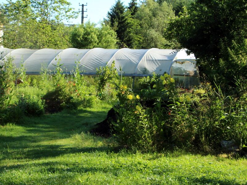 Datei:SG PG Weg zum Folientunnel1.jpg
