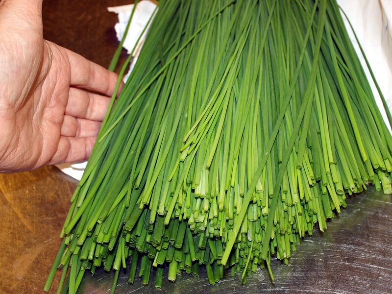 Datei:SK WK u Kräuter Küche.jpg