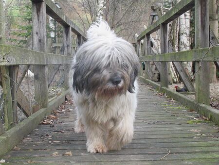 Wastl auf seiner Route