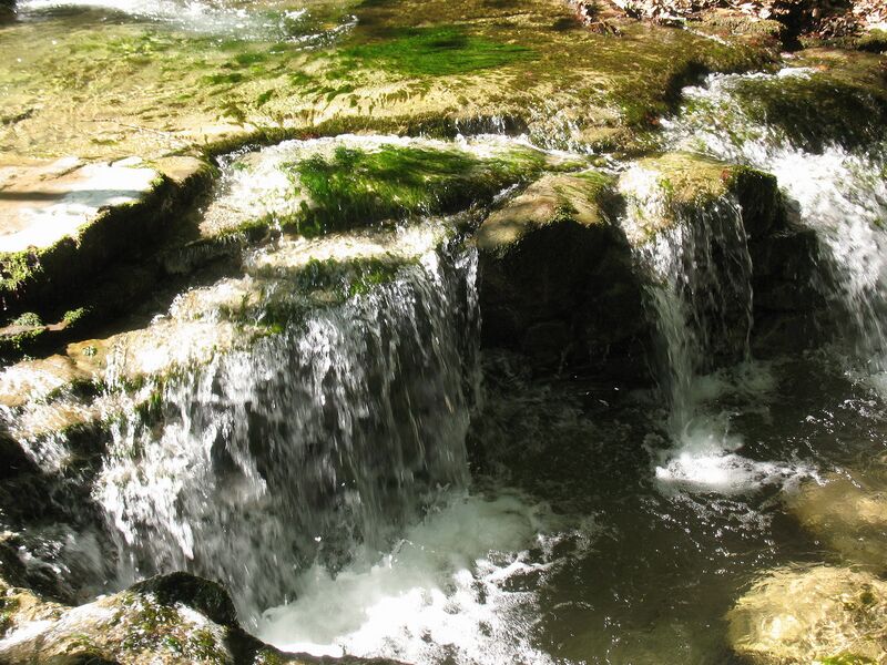 Datei:Soiserbach2 Sommer 2009.jpg